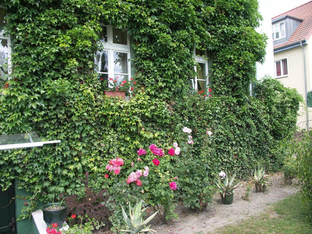3 Sterne Hotel Frankfurt-Oder Zur Alten Oder Φρανκφούρτη  Εξωτερικό φωτογραφία